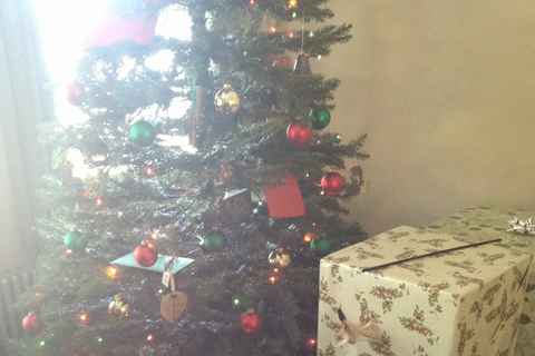 Christmas tree 2013