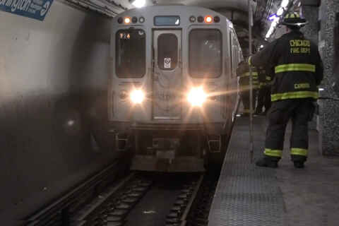Chicago Blue line stops after hitting man